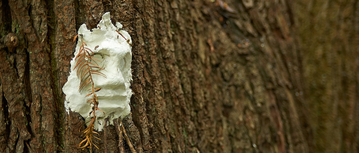  Natural art in Forest School